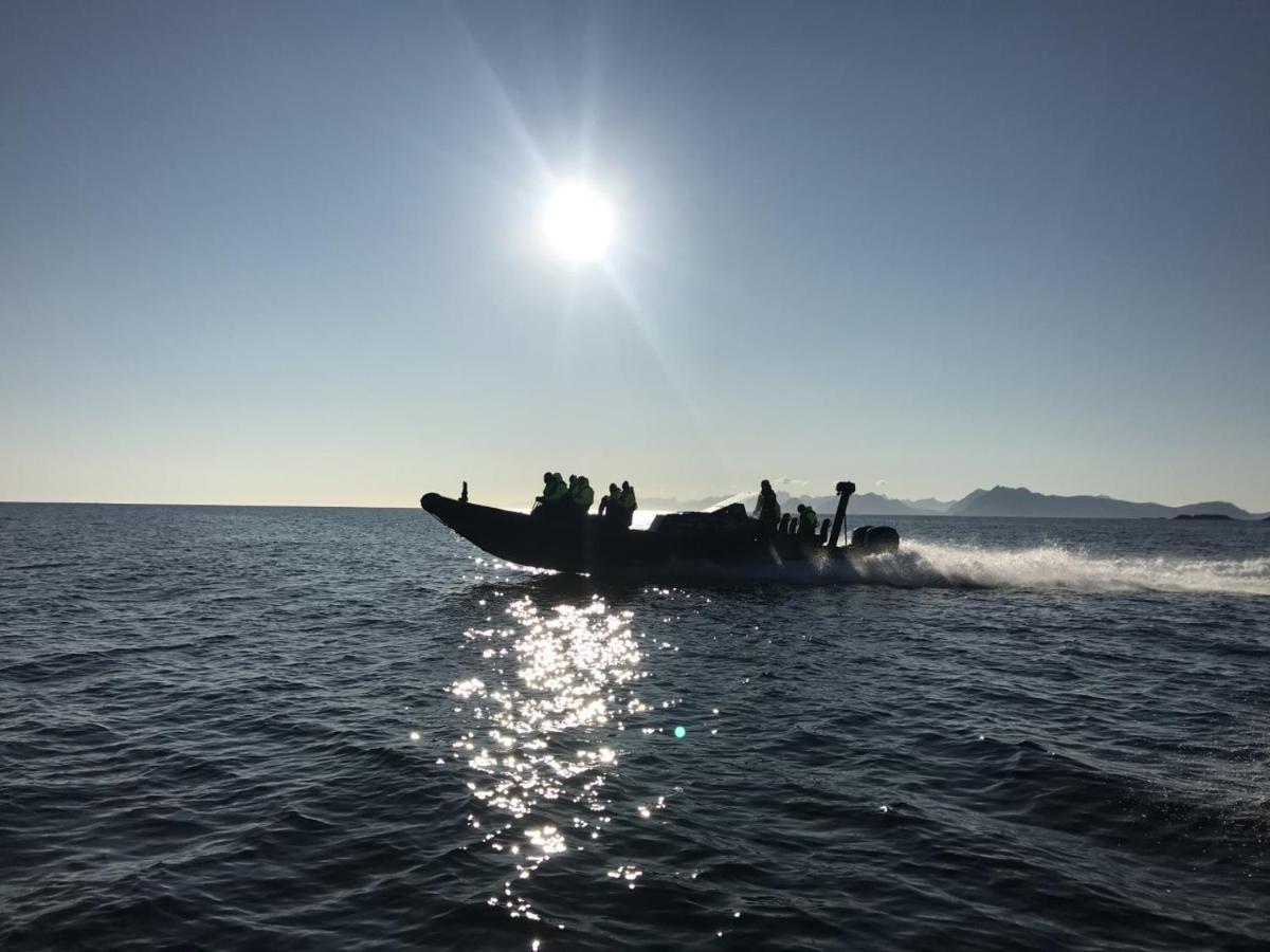 Steigen Lodge Sjohytter Engeloya Εξωτερικό φωτογραφία